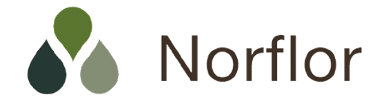 norflor